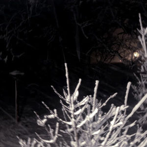 Meet your Posher, Arin